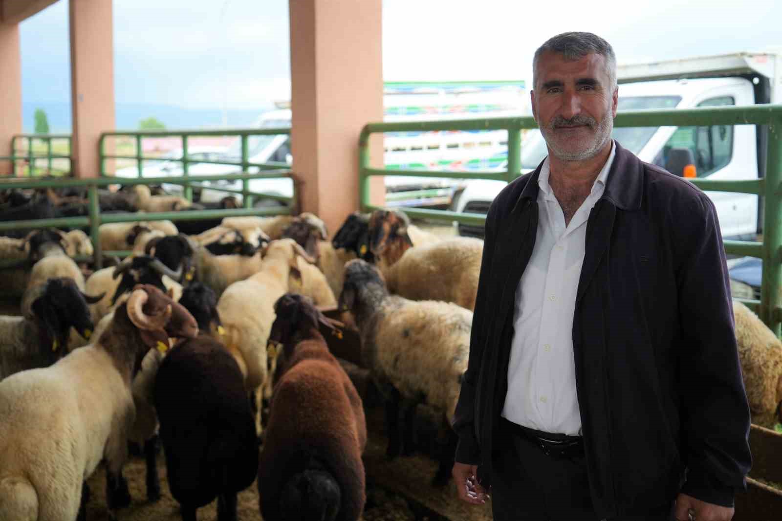 Muş’ta kurban pazarı hareketlendi: Sıkı pazarlıklar dikkat çekiyor
