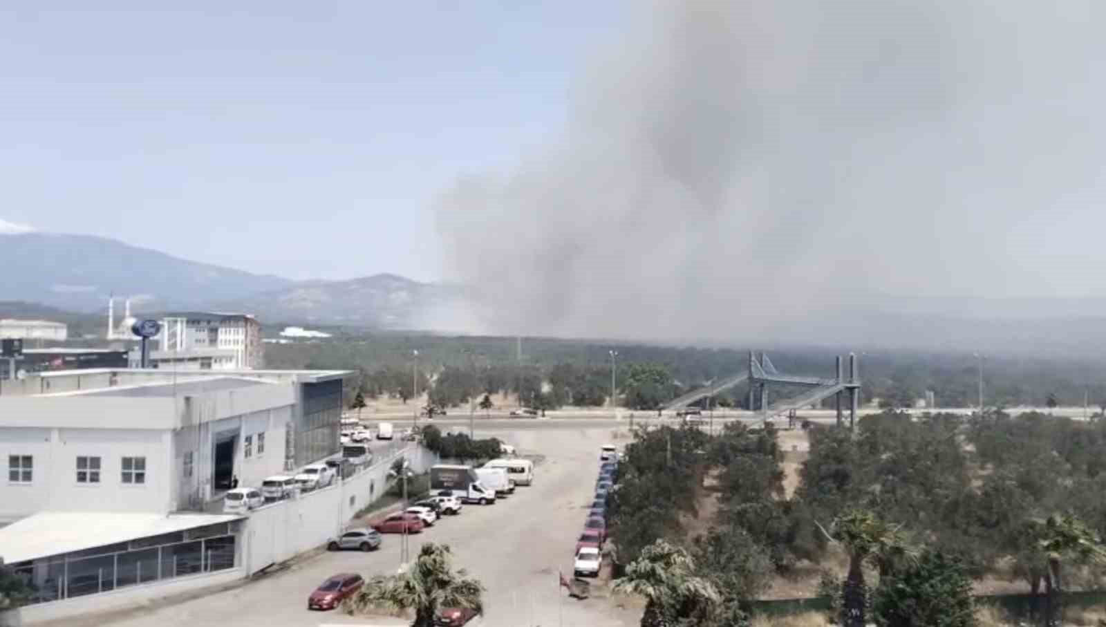 Edremit’te zeytinlik alanda yangın başladı