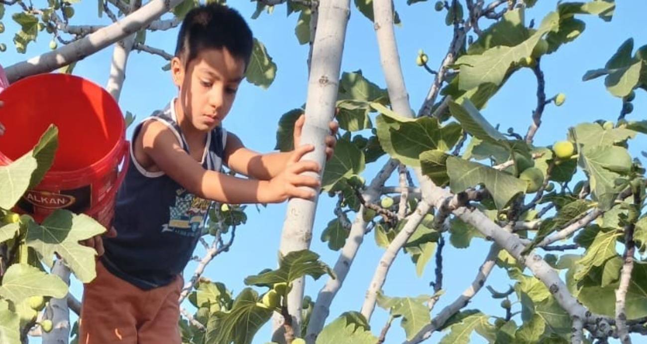 Gaziantep’te otizmli Onurcan 9 gündür aranıyor