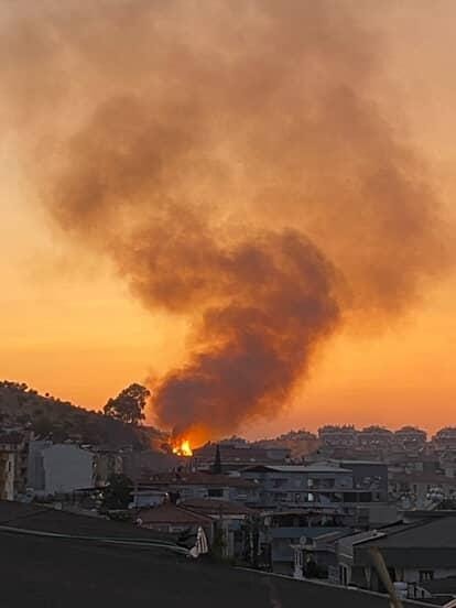 Düğün konvoyundan atılan meşale yangın çıkardı