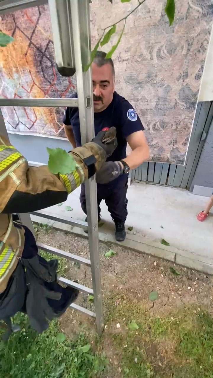Çatıya sıkışan kuş itfaiye tarafından kurtarıldı