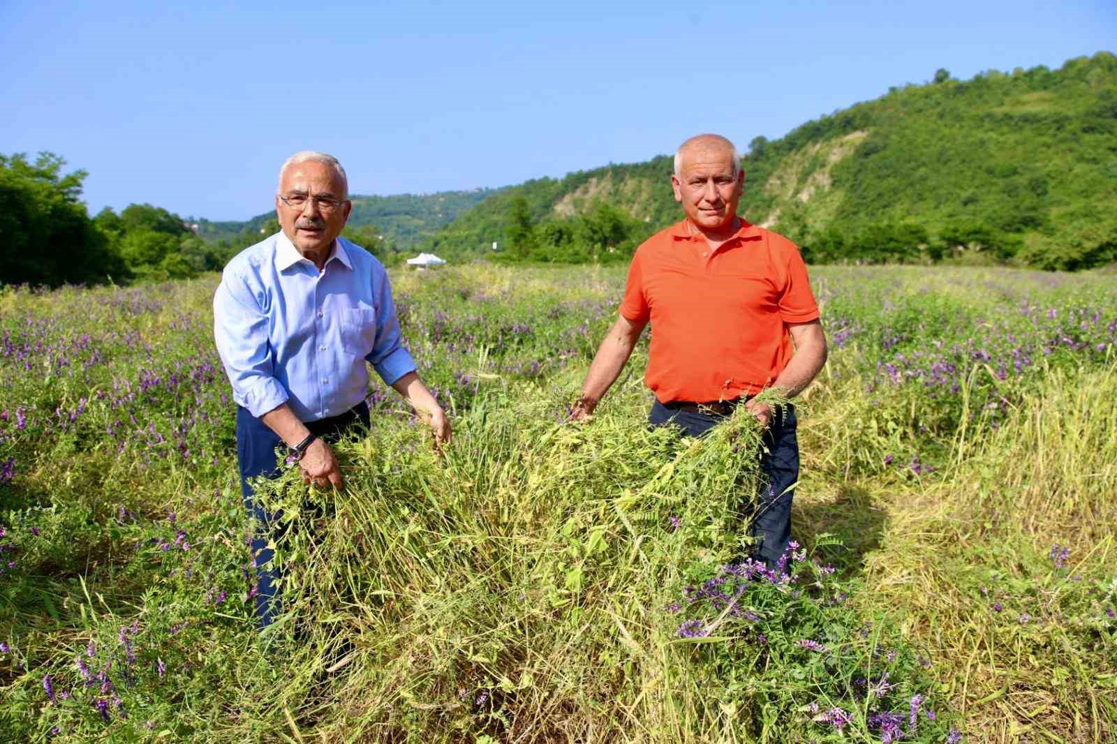 Ordu’da besicilerin yüzünü güldürüp, verimi arttıran destek