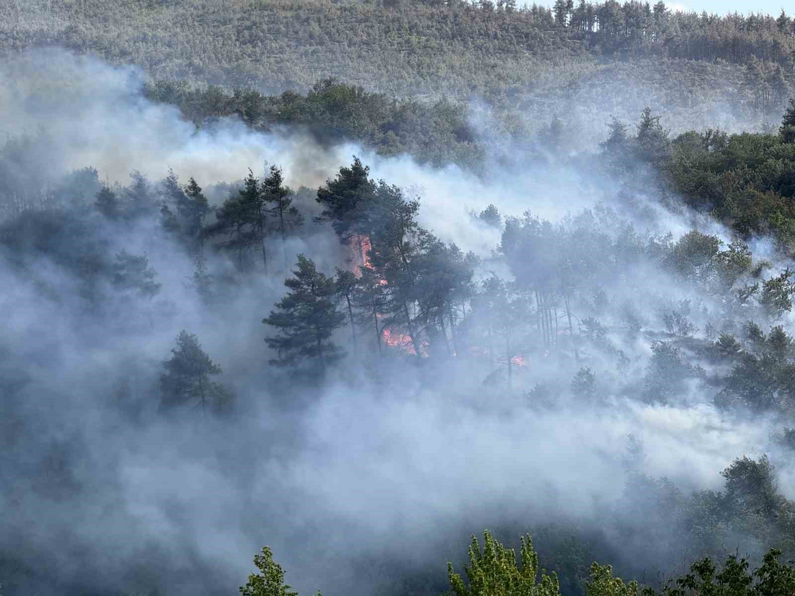 Sakarya’da ormanda yeniden yükselen alevlere havadan ve karadan müdahale edildi