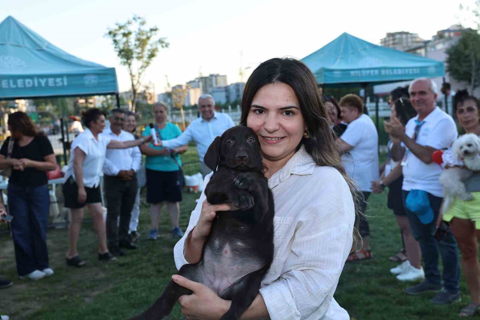 Bursa’da Sahiplendirme Şenliği