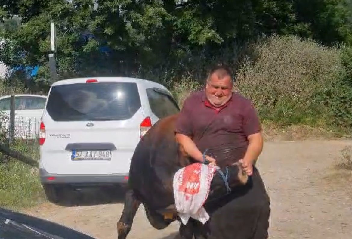 Sinop’ta kurbanlık kaçtı, köyde kısa süreli panik yaşandı