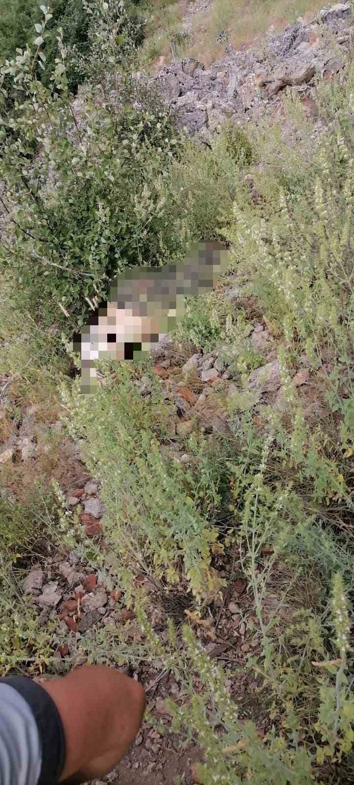 Ot toplamak için antik kente çıkan kadın kayalıklardan düşerek hayatını kaybetti