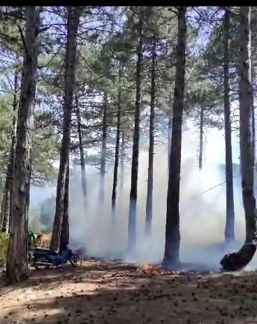Rüzgara karşı mücadele veren ateş savaşçıları 500 hektar ormanı yanmaktan kurtardı