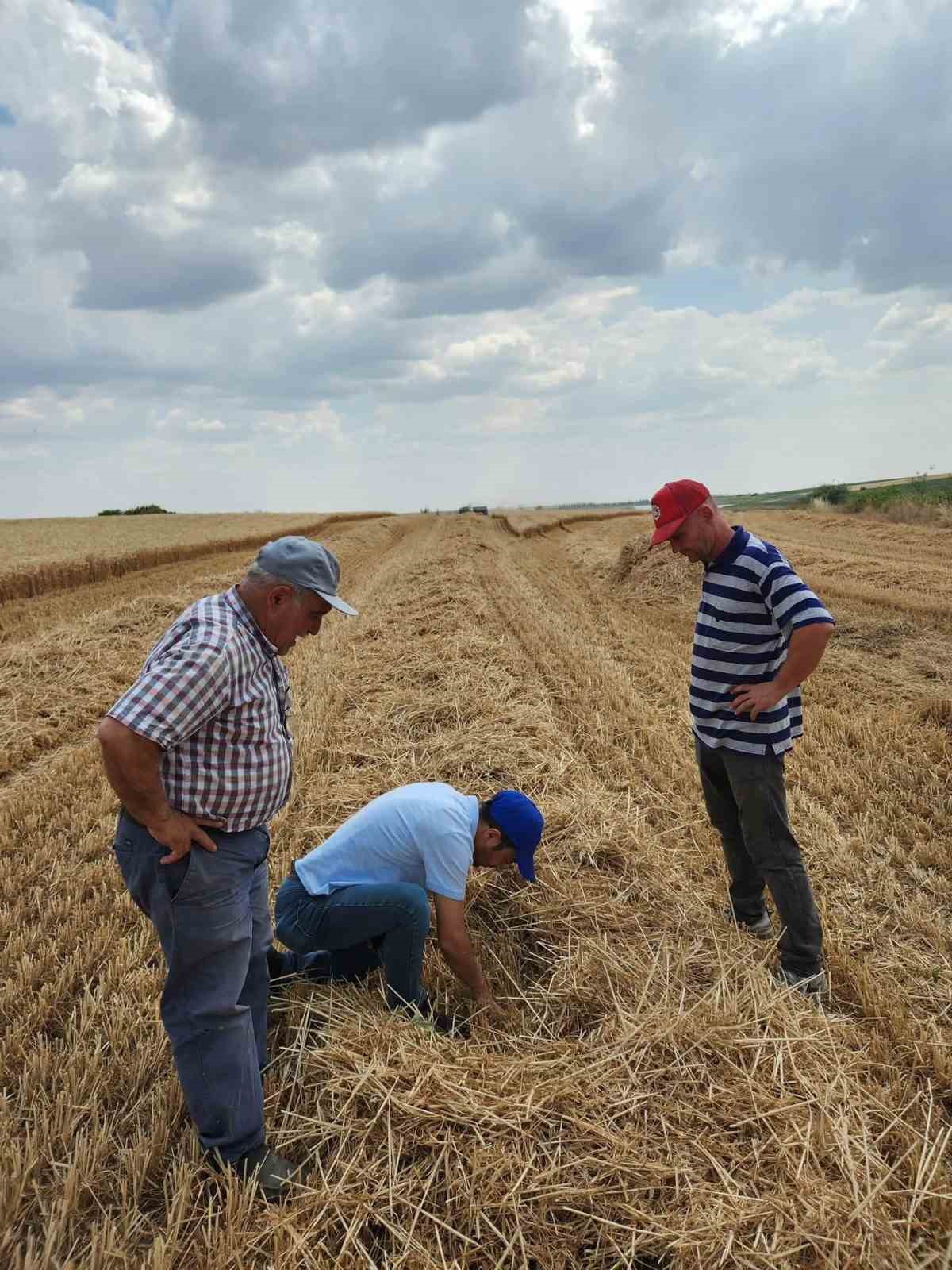 Lalapaşa’da hasada saat düzenlemesi