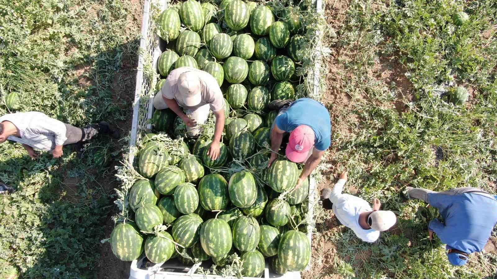 Çukurova’dan sonra Türkiye’nin gözü burada