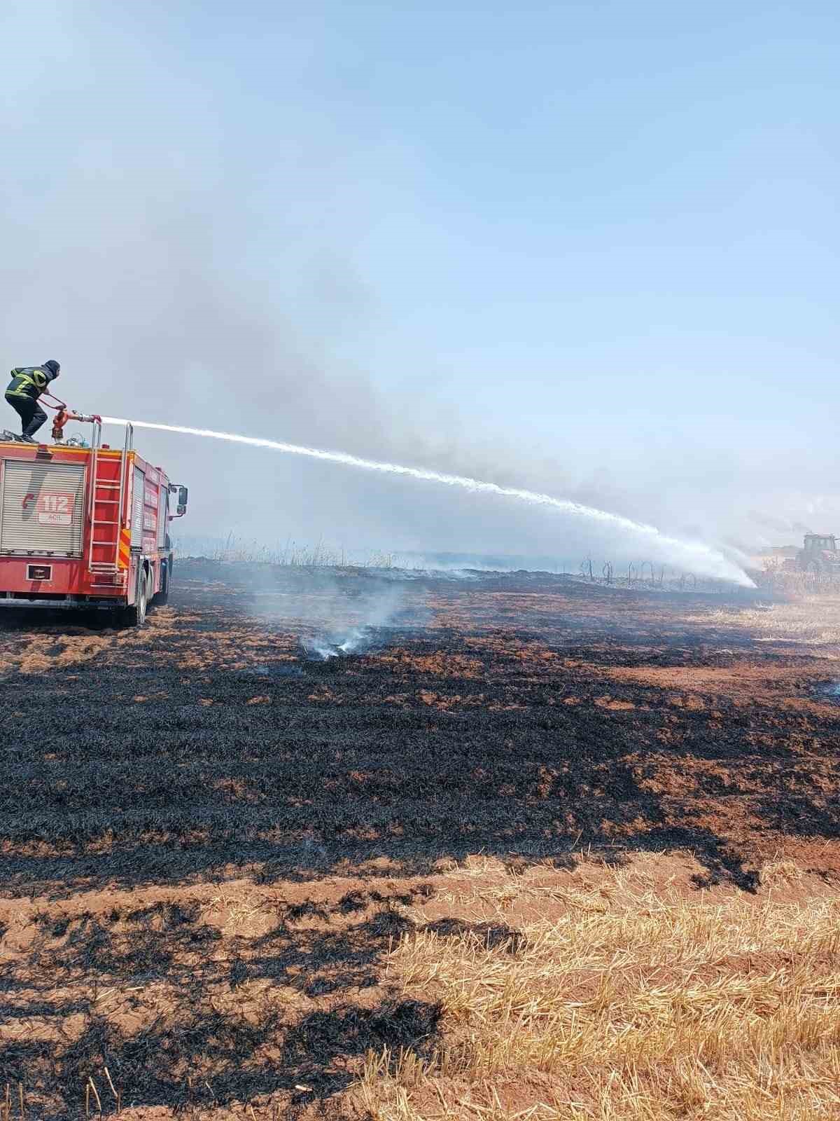 Mardin’de çıkan anız ve orman yangınları söndürüldü