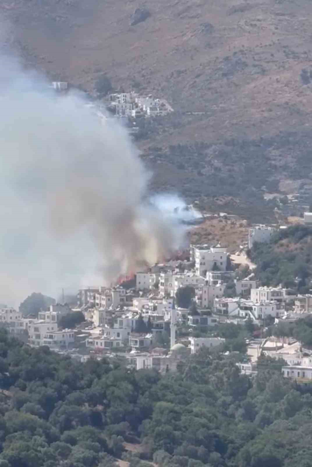 Bodrum’da makilik alanda yangın paniği