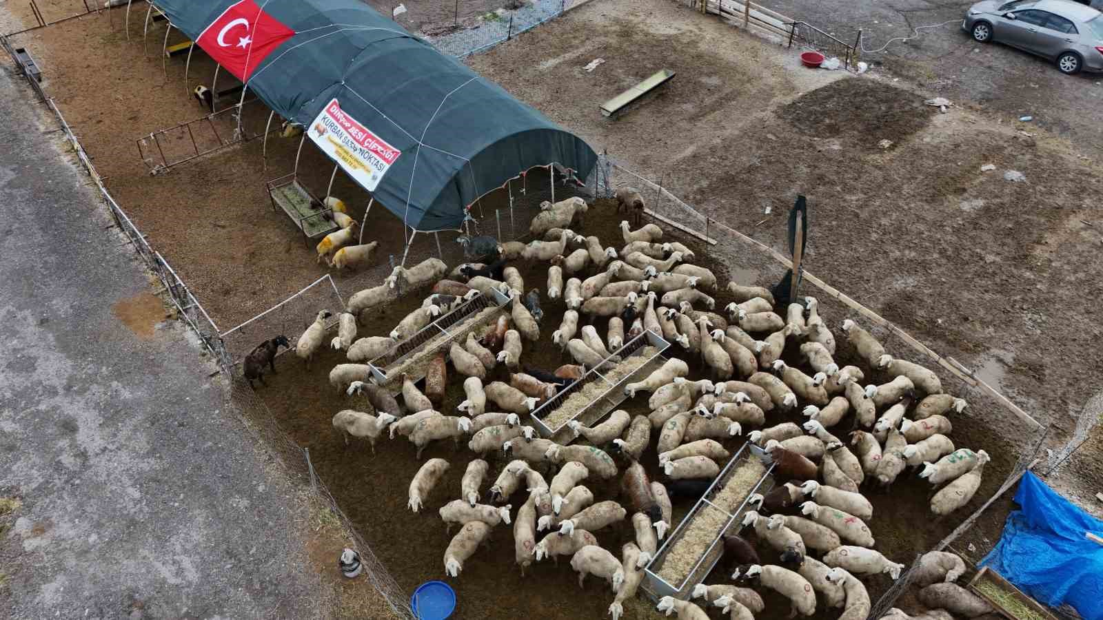Kayseri’de kurban pazarlıklar hareketlendi