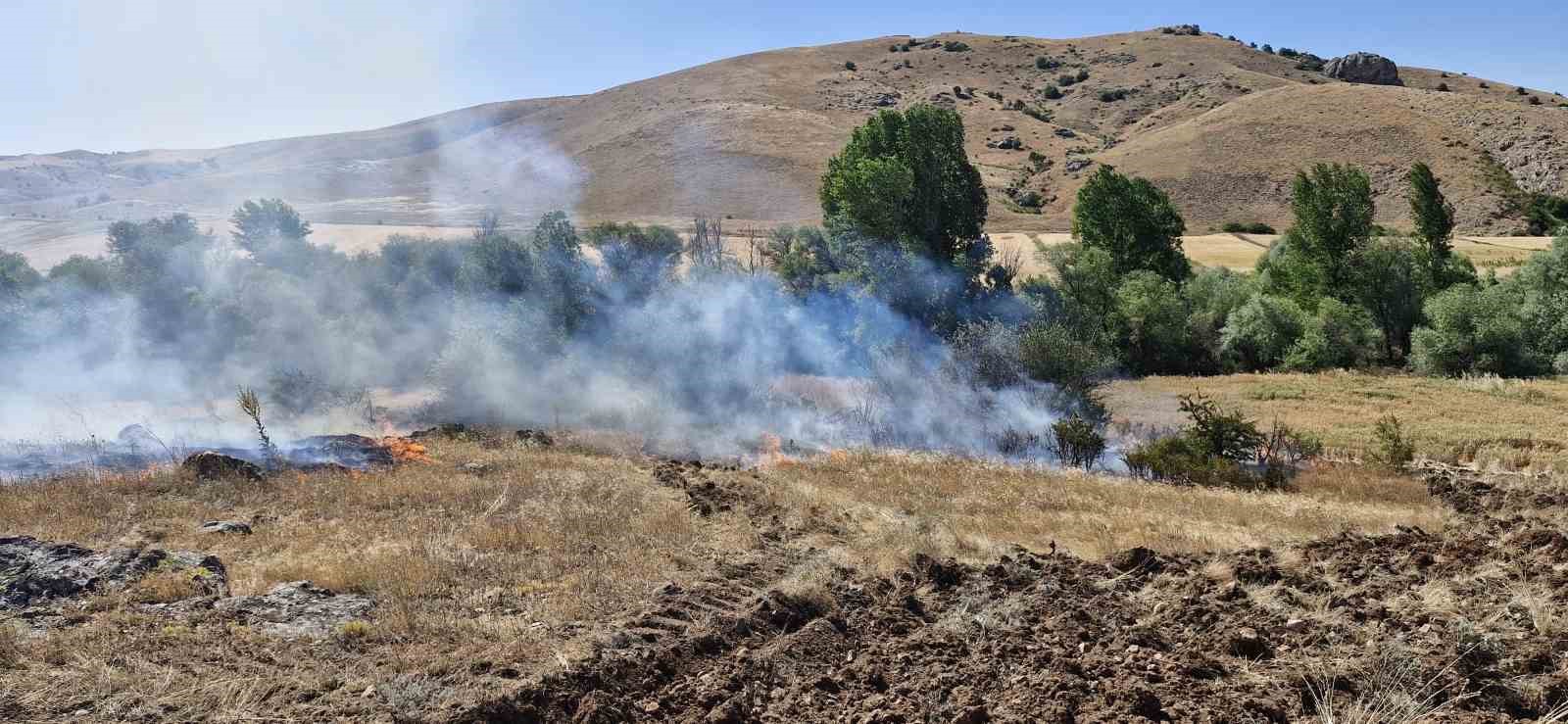 Alevlere teslim olan 3 ev ve 160 dönüm arazi zarar gördü, 2 kişi gözaltına alındı
