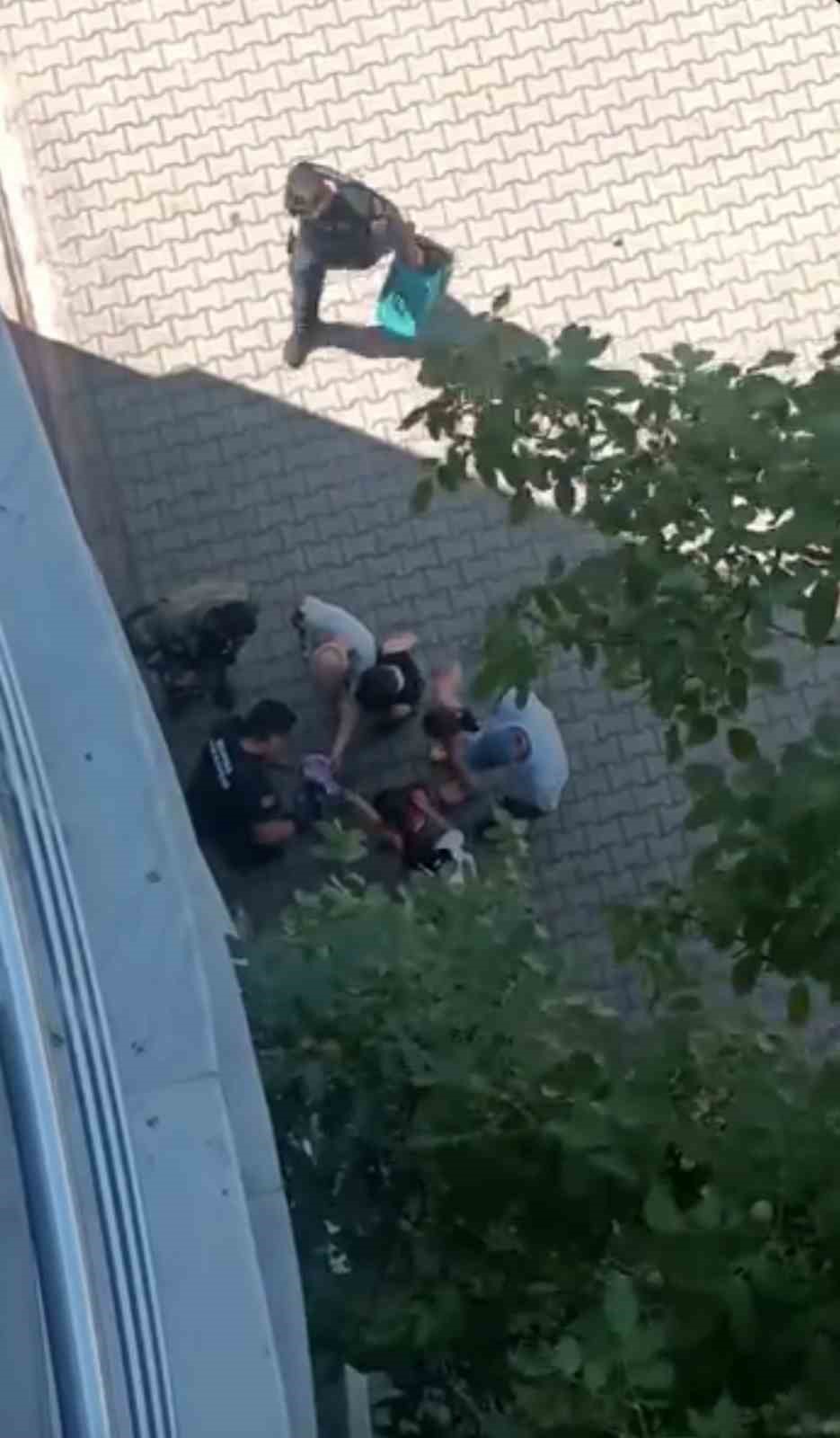 Bursa’da yürekleri ısıtan kurtarma Yavru karga ağaca sıkıştı, çaresizce bekledi