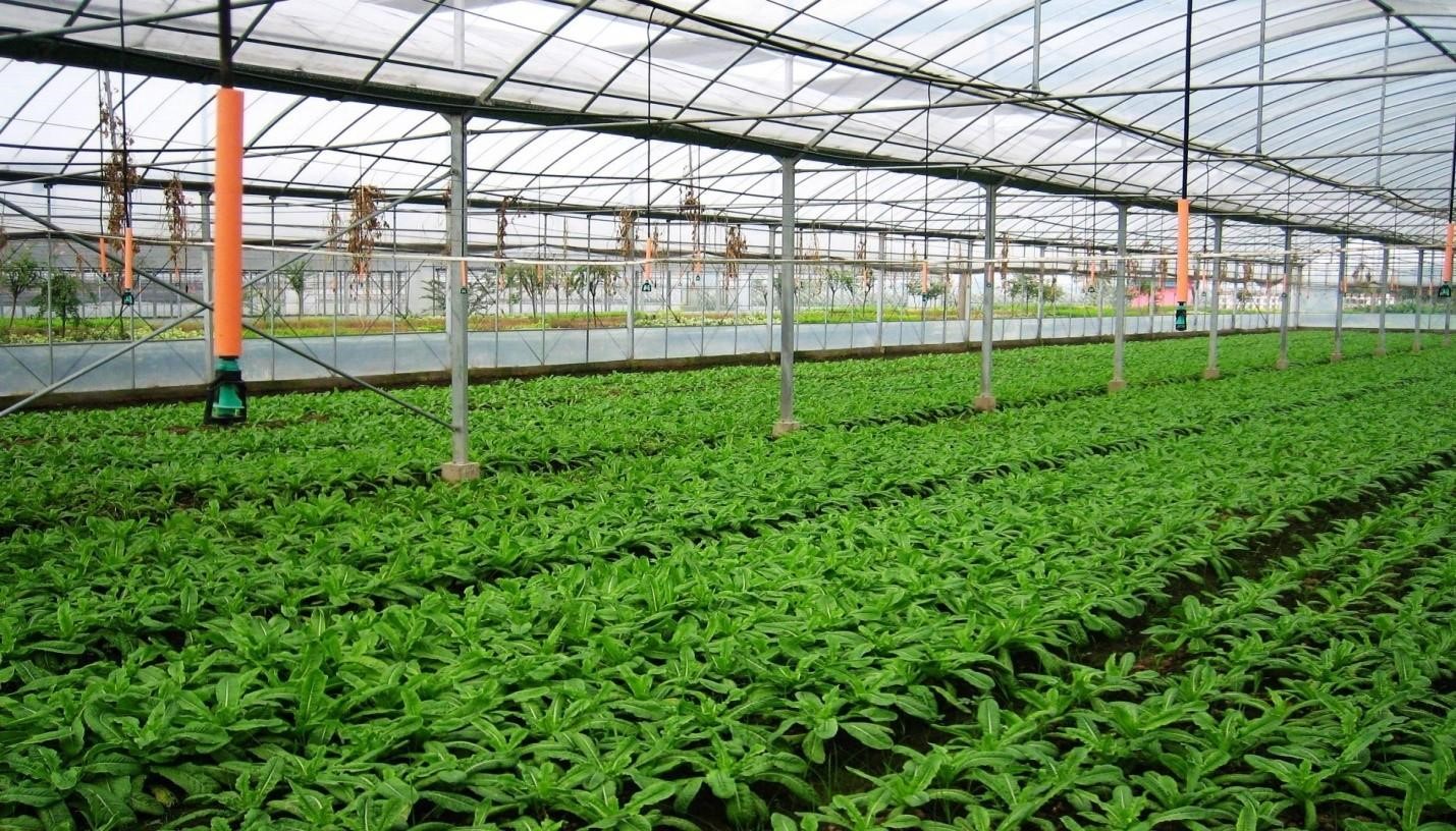 Denizli tarımına 87.4 milyonluk destek