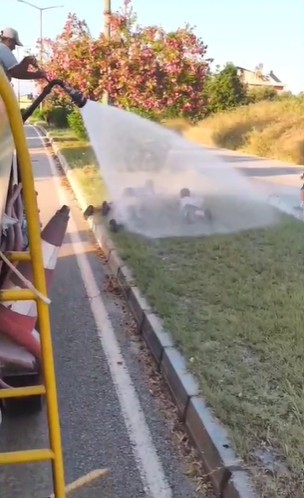 Sıcaktan bunalan çocuklar refüjde sulama yapan su tankeriyle serinledi