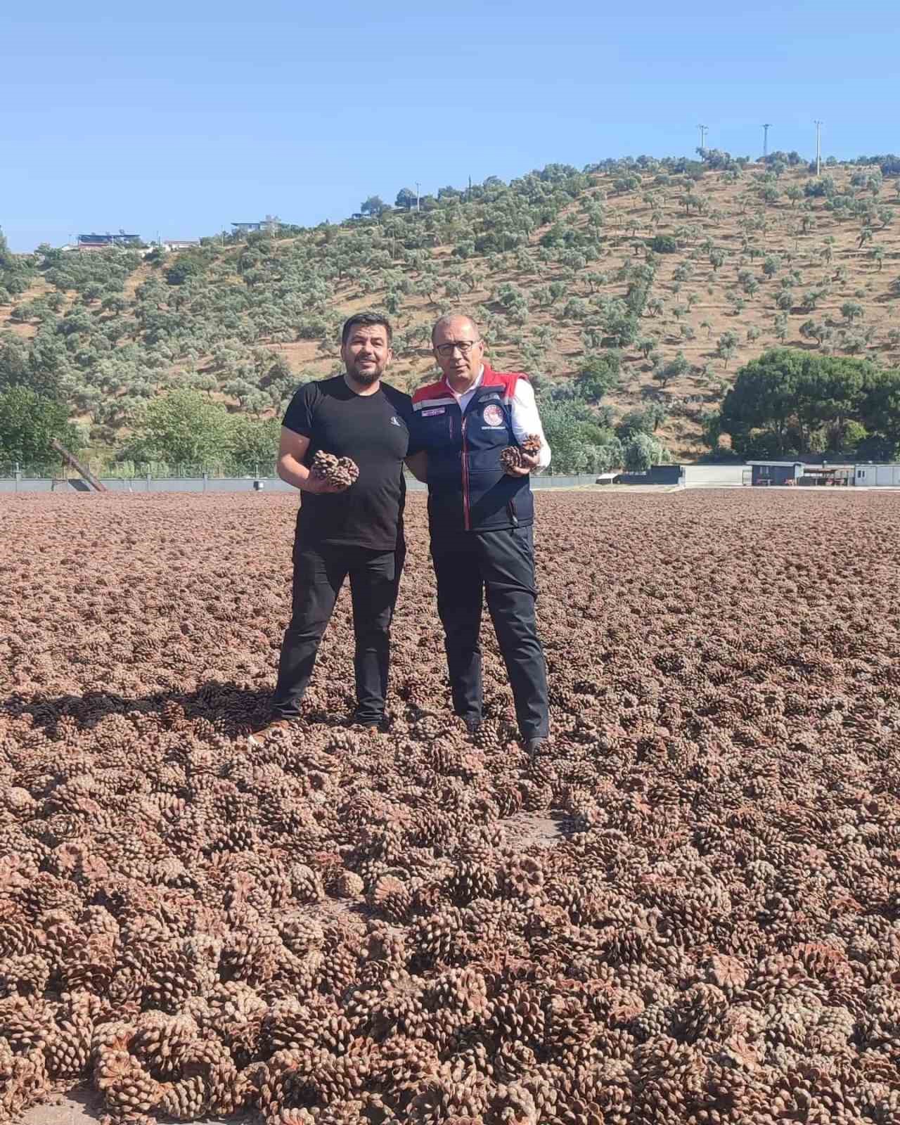 Aydın Çam Fıstığı dünya çapında güçleniyor