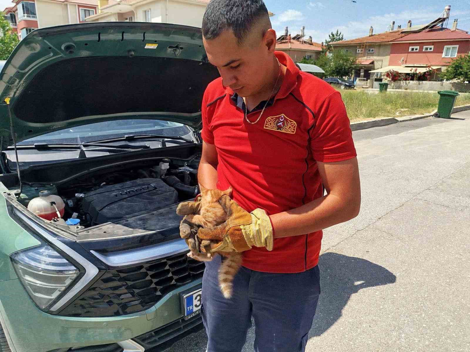 Otomobilin kaput kısmına sıkışan yavru kediler kurtarıldı