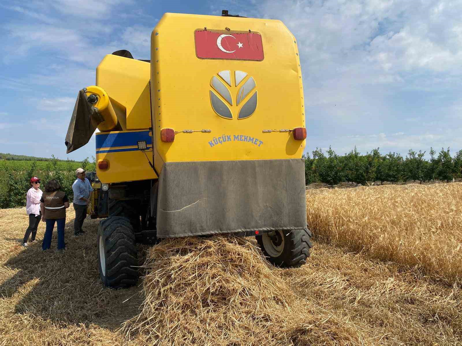 Manisa’da biçerdöverler takip altında