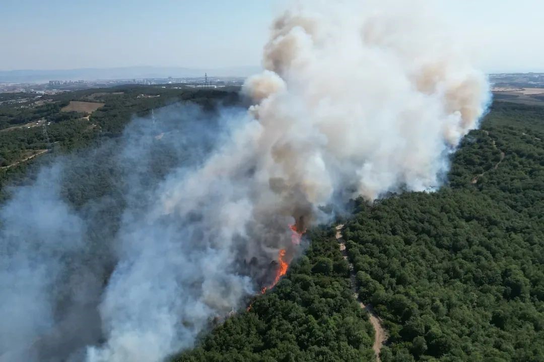 Gebze’de çıkan orman yangını kontrol altına alındı