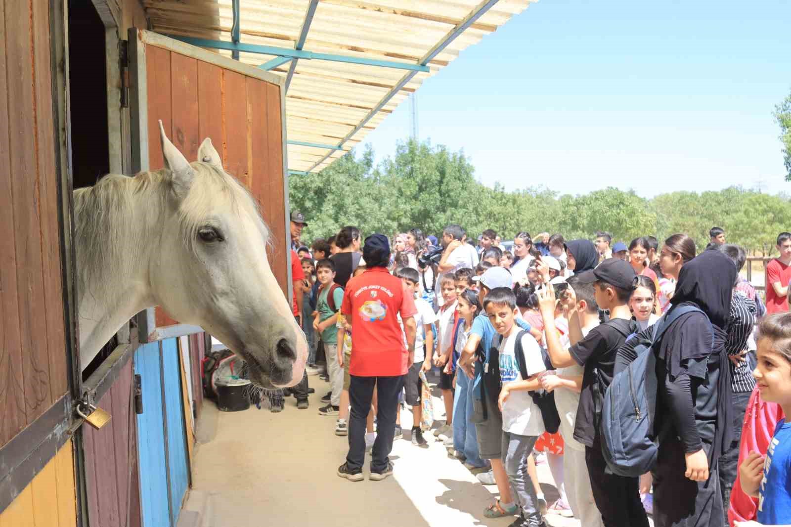 Elazığ’da çocuklar doyasıya gezdi
