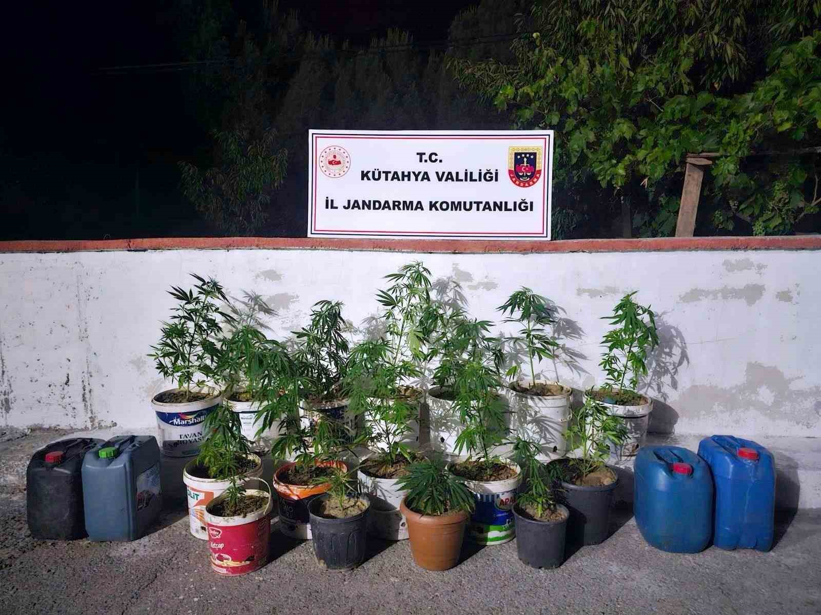 Kütahya’da jandarmadan uyuşturucu operasyonu: 2 gözaltı