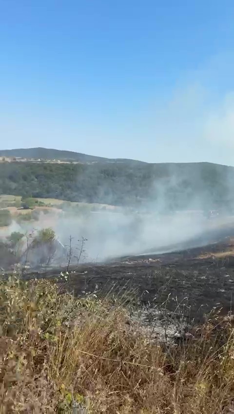 Sakarya Kaynarca’da makilik alanda yangın çıktı