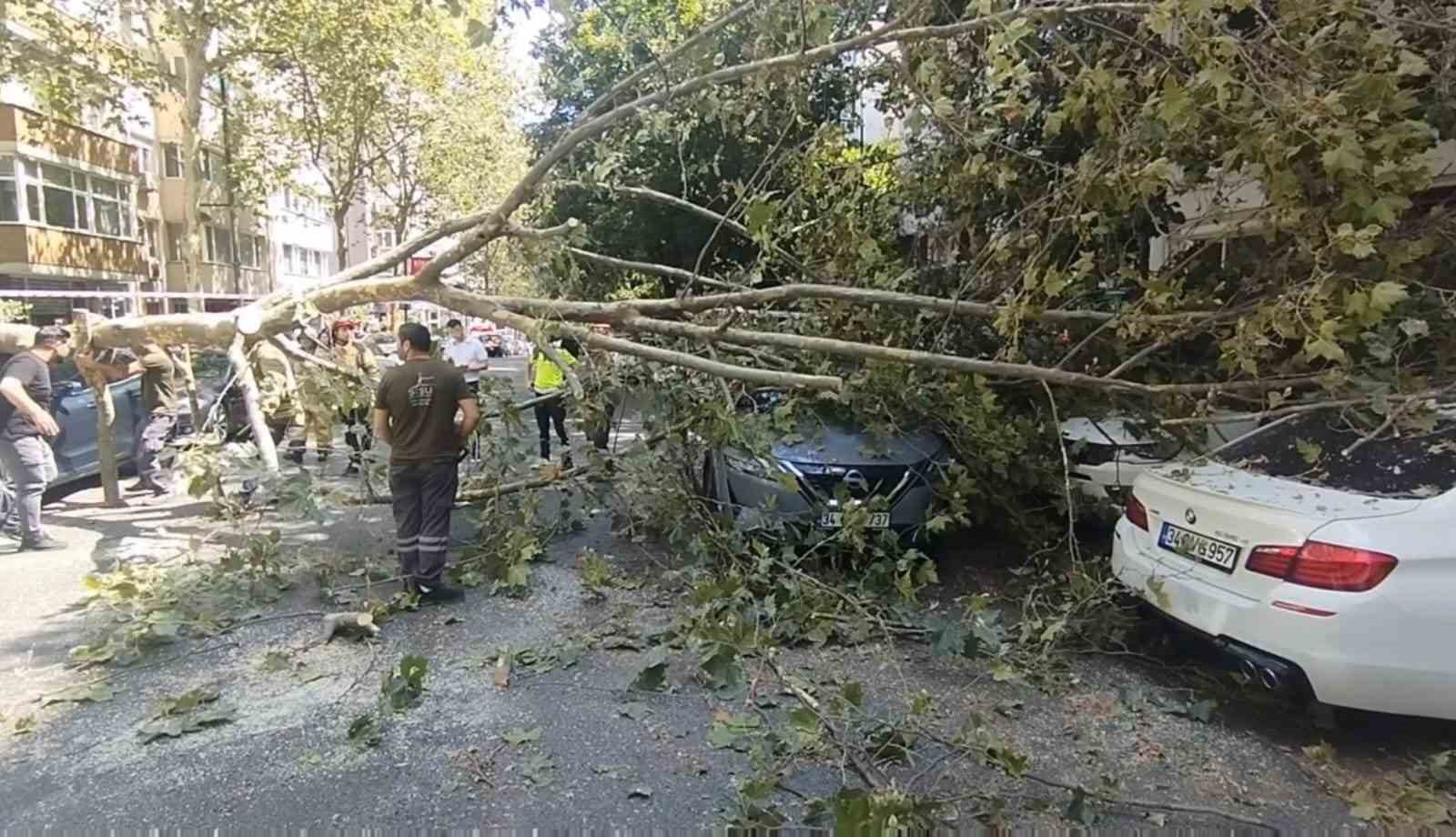 Şişli’de park halindeki araçların üzerine ağaç devrildi