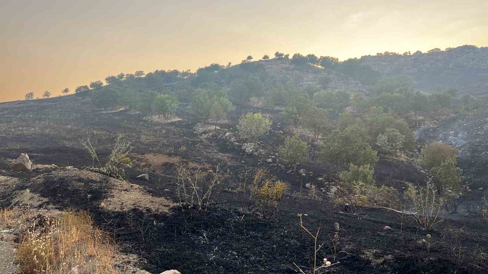 Diyarbakır’da merada başlayan yangın ormanlık alana yayıldı
