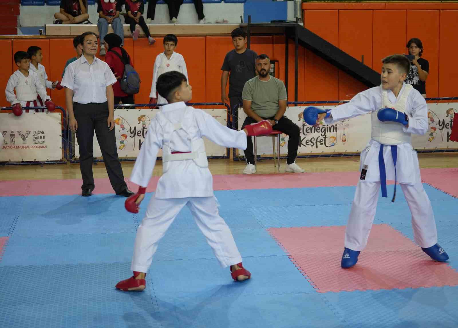 Milli takıma göz kırpan karateciler, ANALİG müsabakalarında ter döküyor