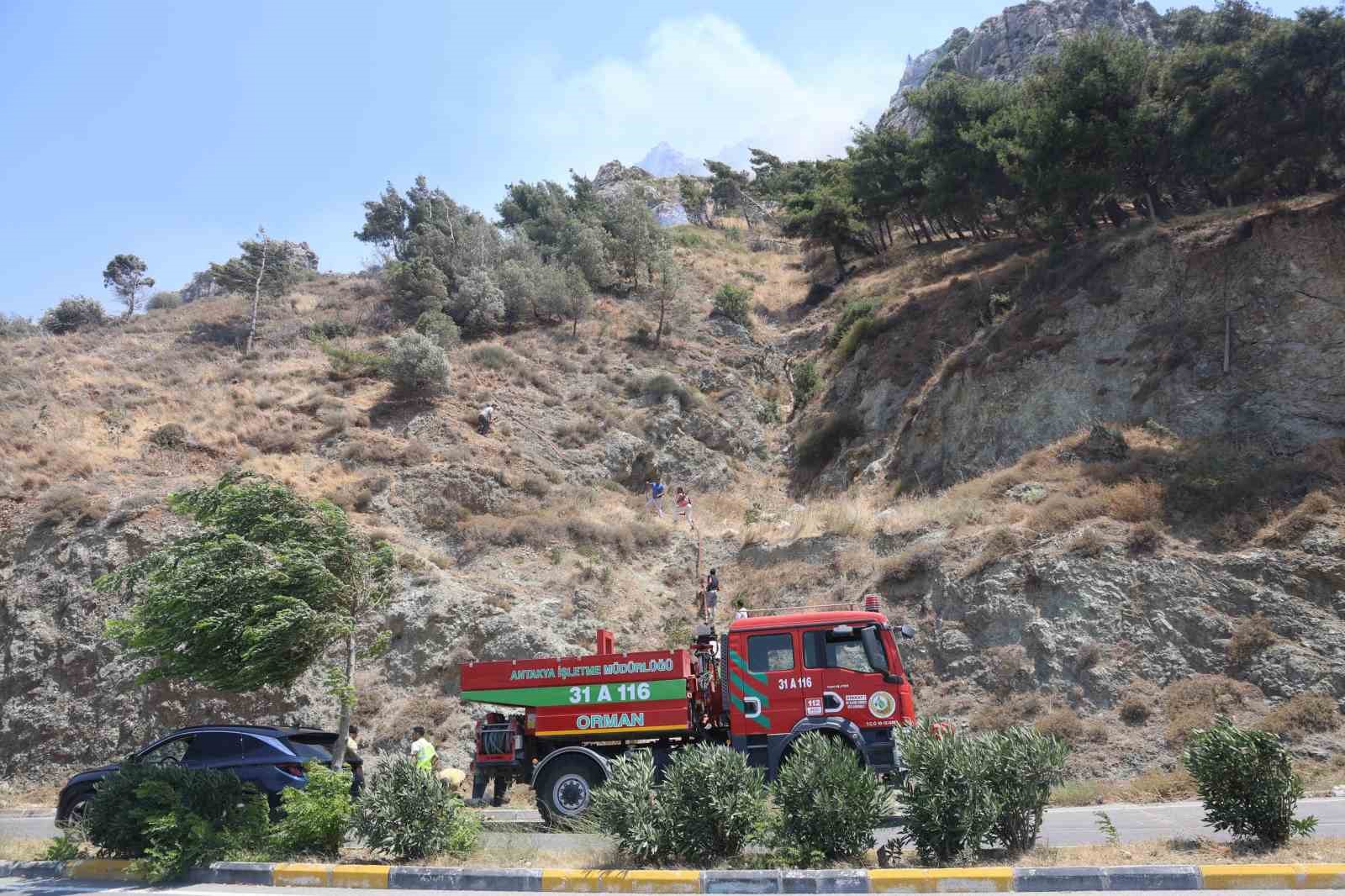 Hatay’da orman yangını