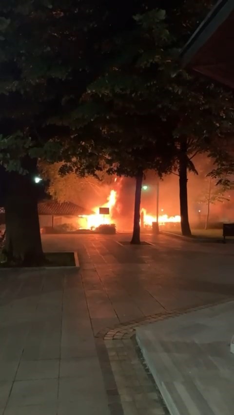 Bursa’da tarihi çay bahçesi alevlere teslim oldu