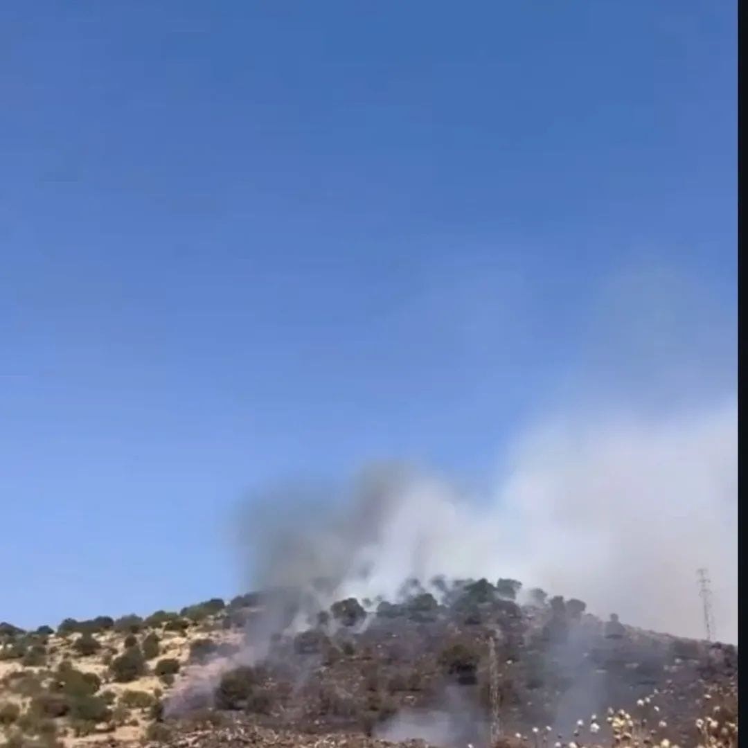 Dikili’de orman yangını: Çanakkale yolu ulaşıma kapatıldı