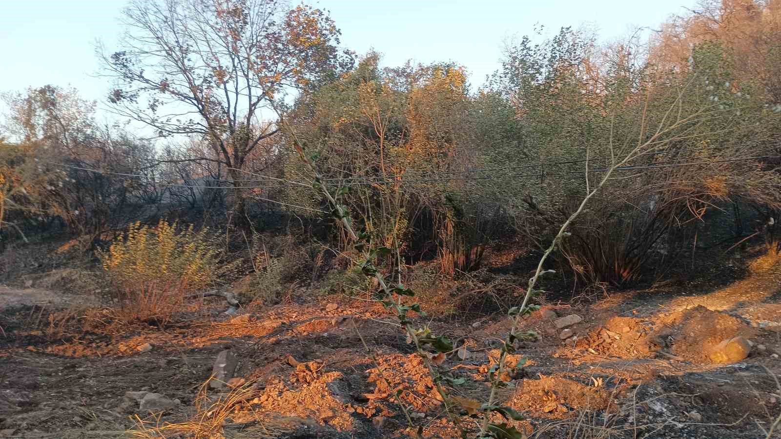 Kocaeli’nin farklı noktalarında aynı anda çıkan yangınlara müdahale sürüyor