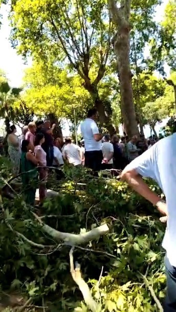 Üzerine ağaç dalı düşen genç kız hayatını kaybetti