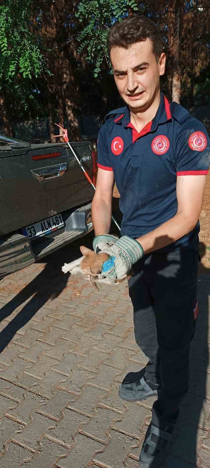 Batman’da otomobilin motoruna sıkışan kediyi itfaiye kurtardı