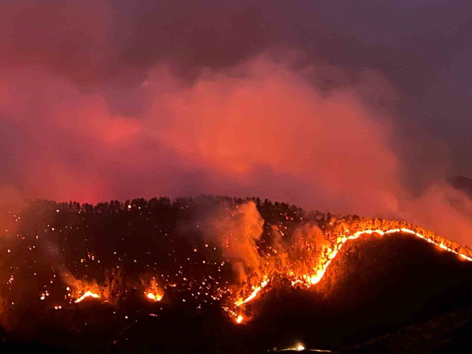 Kahramanmaraş’ta orman yangınına müdahale sürüyor