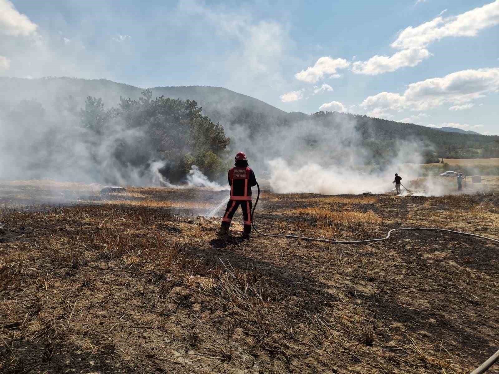 Sakarya’da 3 farklı noktada çıkan yangınlar kontrol altına alındı