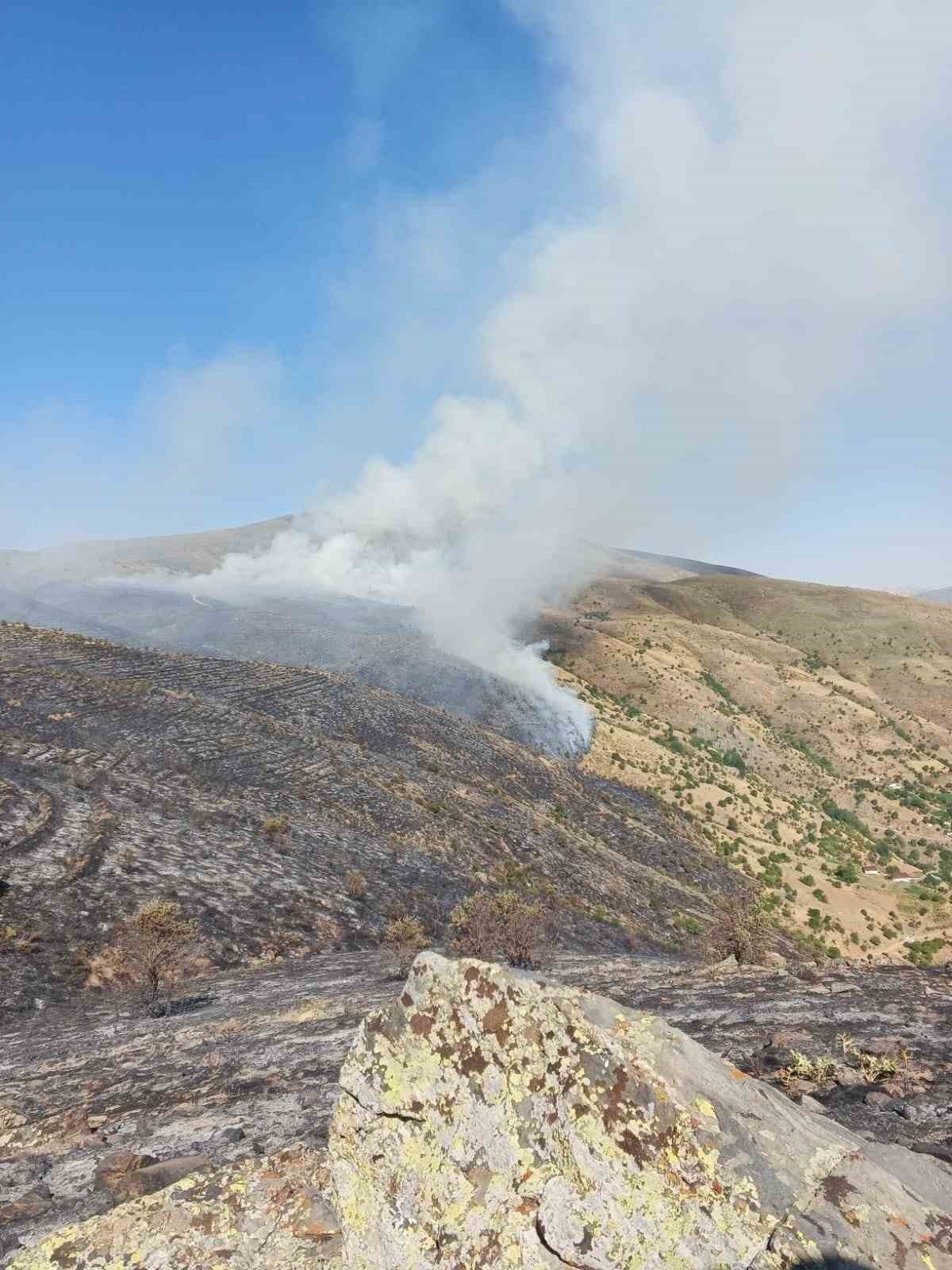 Elazığ’da yeniden başlayan örtü yangınına müdahale ediliyor