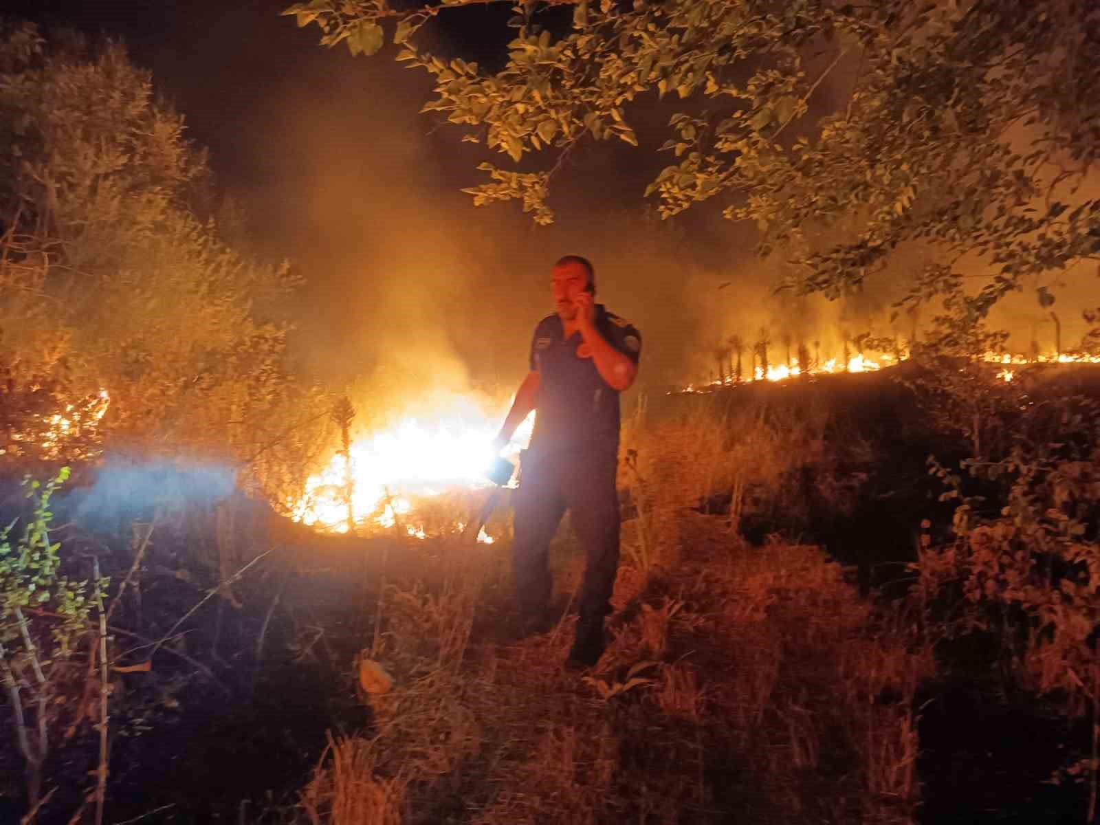 Otluk alanda çıkan yangın ağaçlık alana sıçradı
