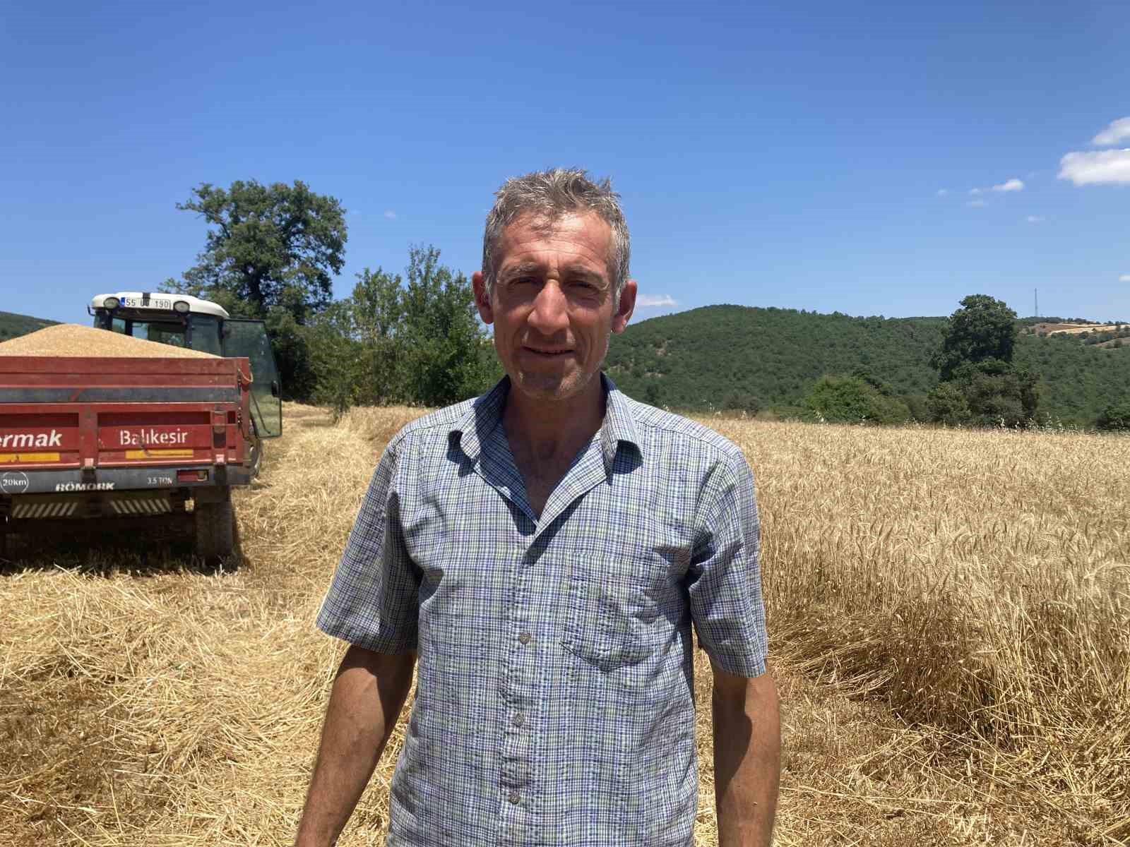 Kavak’ta ekin hasadı başladı