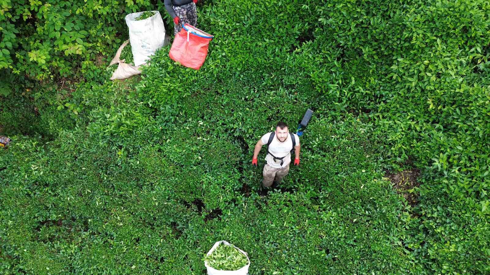 Dron ile çay bahçesine su servisi
