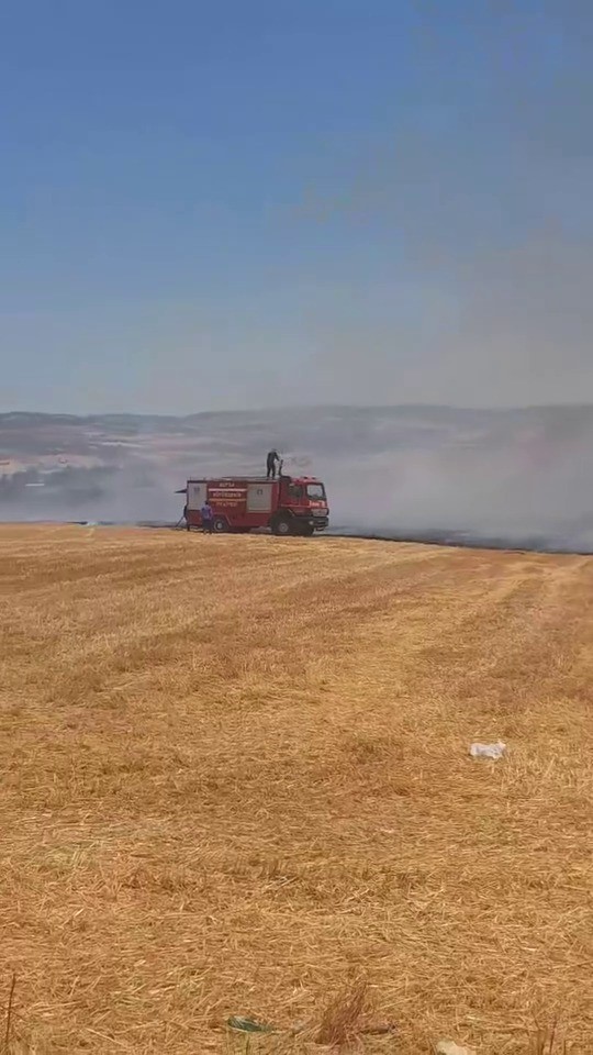 Bursa’da korkutan anız yangını