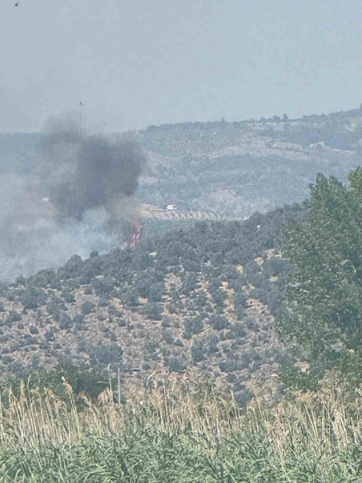 İznik’te çıkan yangın kontrol altına alındı
