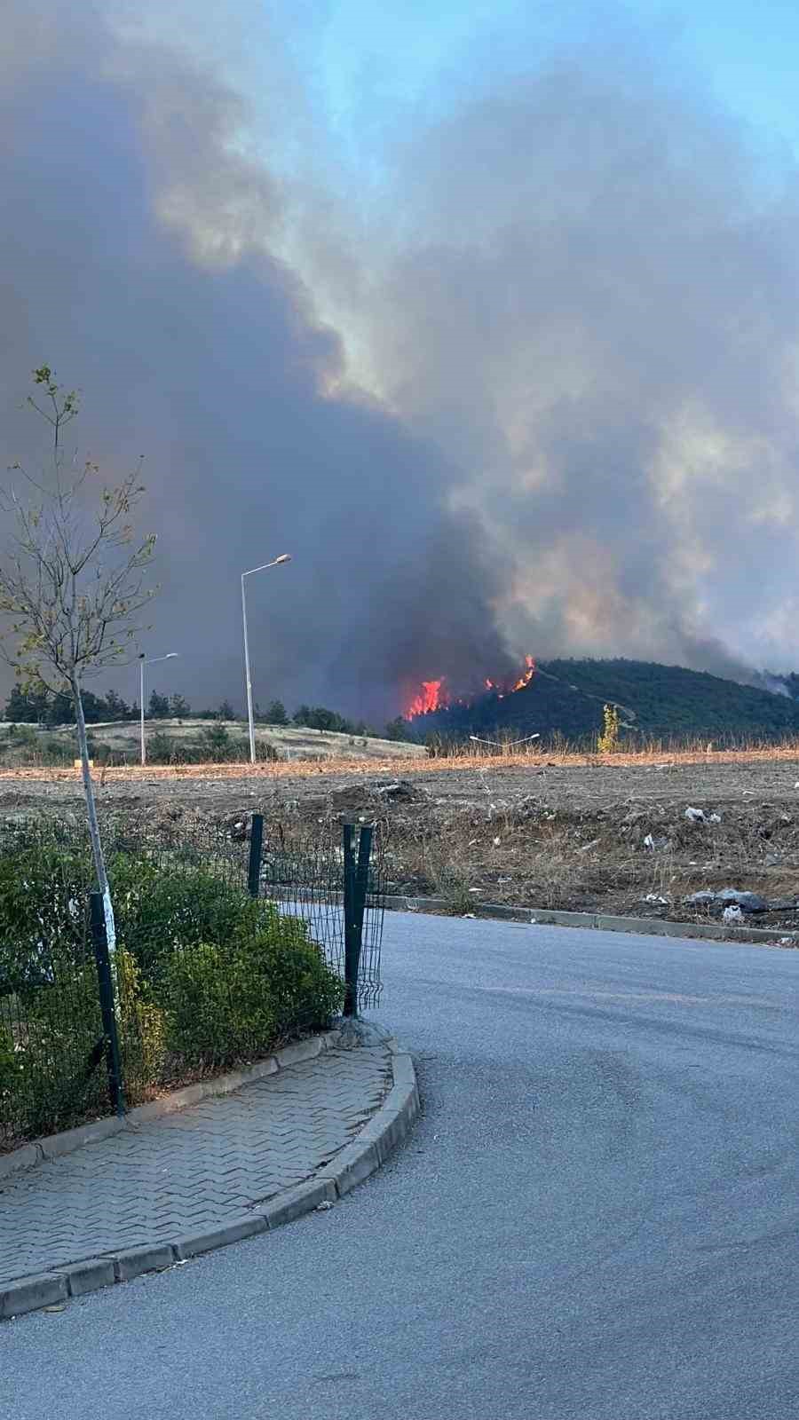 Bursa’nın ciğerleri yanıyor