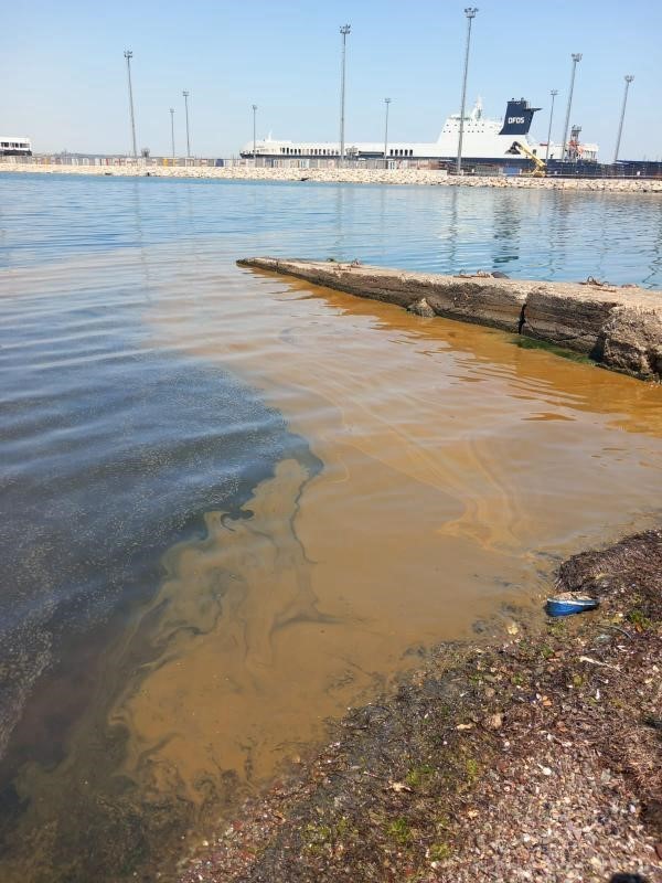 Yalova’da deniz kirliliğine sebep olan fabrikaya inceleme