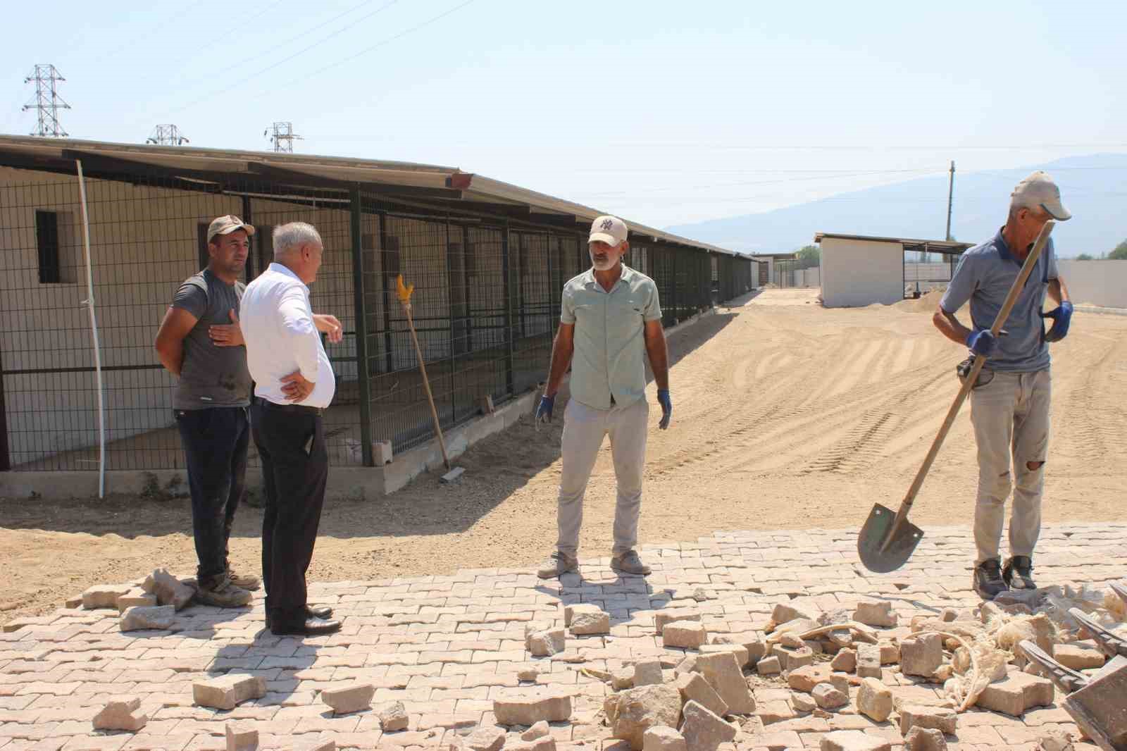 Sultanhisar’da hayvan barınağı projesinde geri sayım başladı