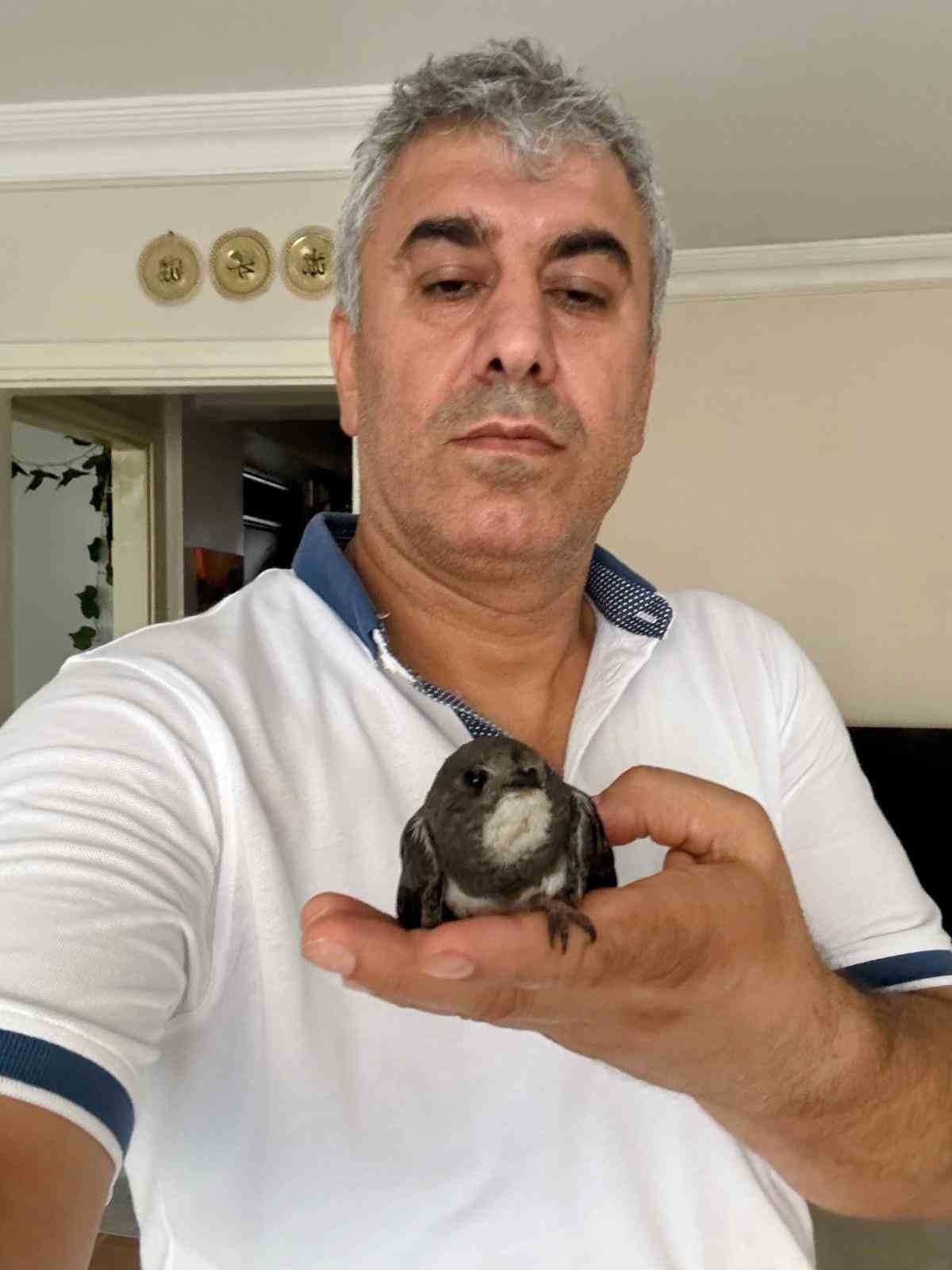 Beyoğlu’nda 6 yıl önce tedavisini yaptığı ebabil kuşu yeniden penceresine kondu