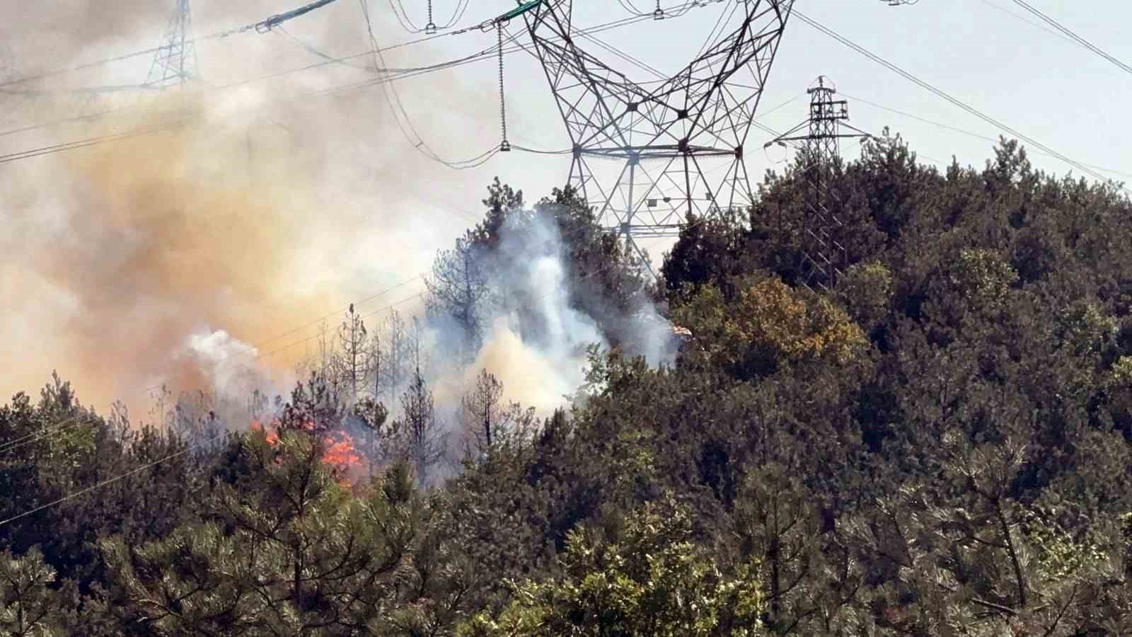 Düzce - Sakarya sınırında çıkan orman yangınına müdahale sürüyor