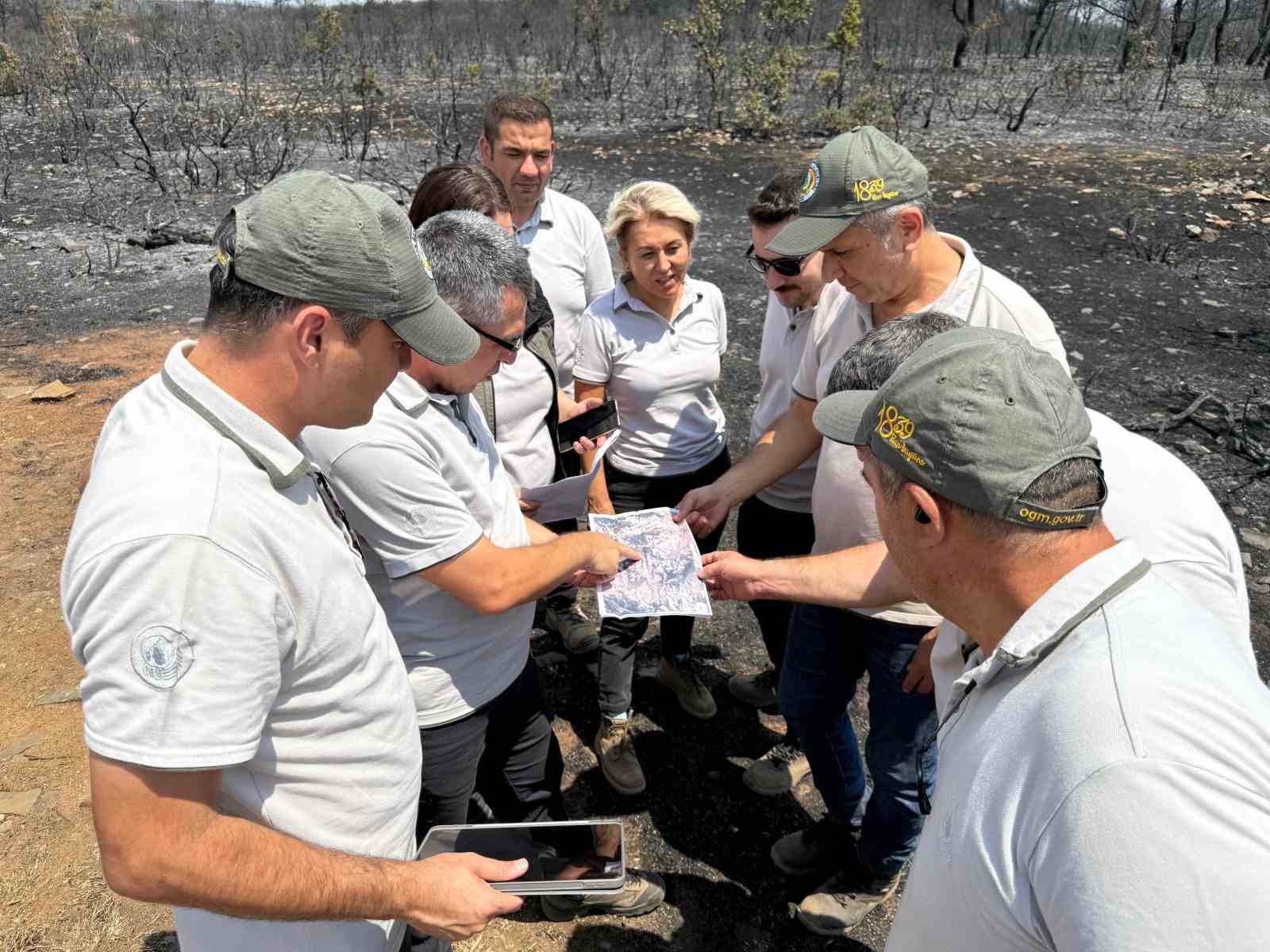 Orman yangınında zarar gören alanlar için yeşillendirme çalışması başlatıldı